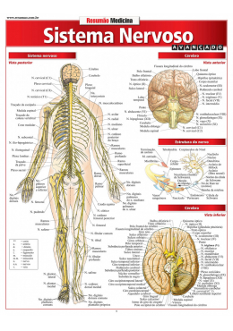 Mapa Resumão Sistema Nervoso Avançado